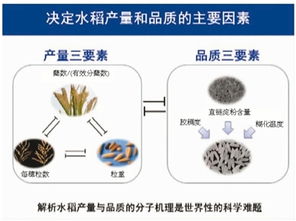 2017年度國家科技獎(jiǎng)勵(lì)大會 自然科學(xué)研究的新高度與時(shí)代使命
